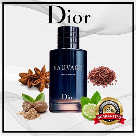 parfum dior pria
